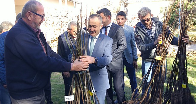 Bozkır'da çiftçilere ceviz ve badem fidanı dağıtıldı