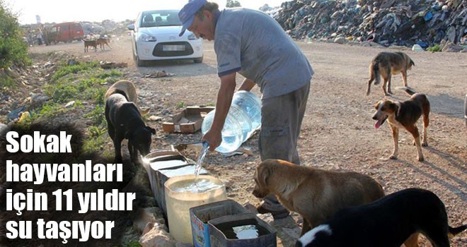 Sokak hayvanları için 11 yıldır su taşıyor