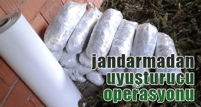 jandarmadan uyuşturucu operasyonu