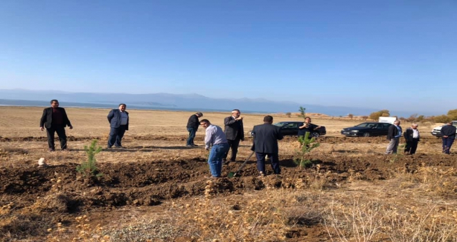 İstanbullu muhtarlar Hüyükde fidan dikti