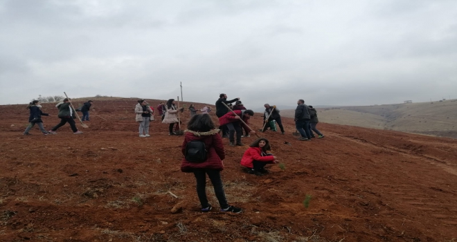 Kırşehirde Benim de bir ağacım var kampanyası