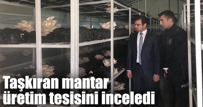 Taşkıran mantar üretim tesisini inceledi