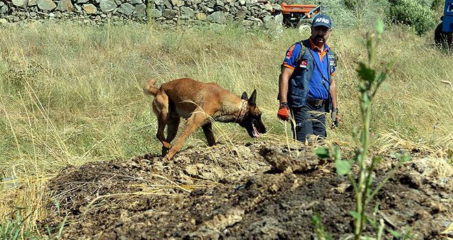 Eylül'ü bulan 'Abrek' Evrim'i de arıyor