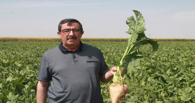 "Şeker fabrikaları yaşatılmalı"