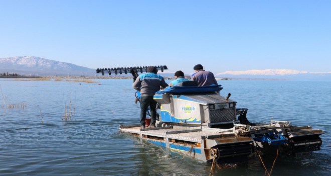 Beyşehir'de sinekle mücadele çalışmaları