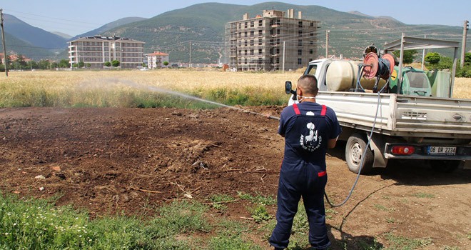 Akşehir'de ilaçlama çalışmaları