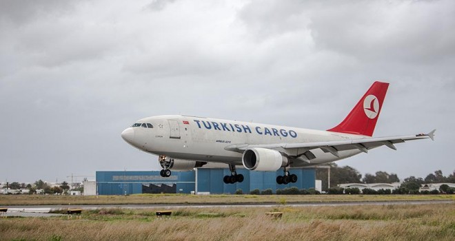 Türk kirazı, Turkish Cargo ile taşınıyor