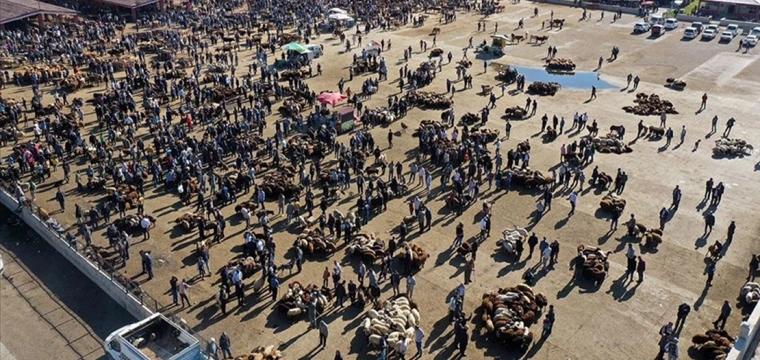 Hayvan Borsası'nda Kurban Bayramı yoğunluğu