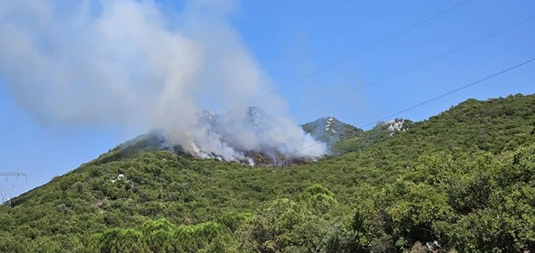 Antalya Demre'de Orman Yangını Çıktı