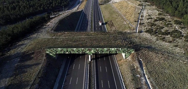 4 ekolojik köprü yapım çalışmaları devam ediyor