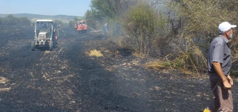 Anız yangını ormana sıçradı