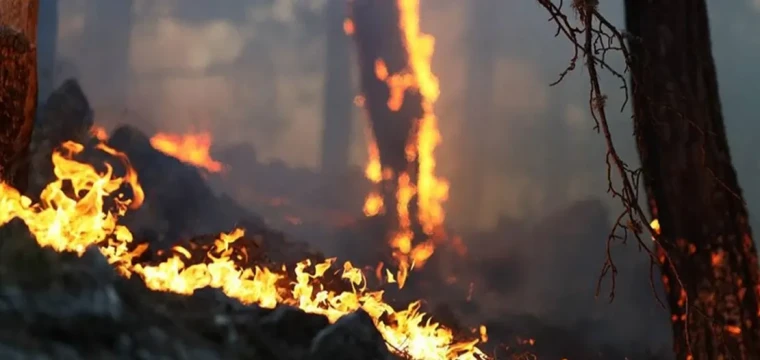 Antalya Akseki yangınına karadan ve havadan müdahale