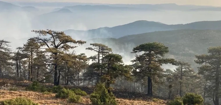 Eskişehir'de çıkan orman yangını kontrol altına alındı