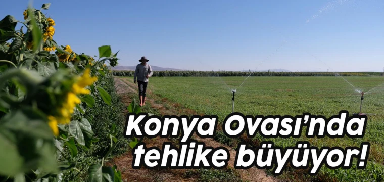 Konya Ovası'nda tehlike büyüyor: Çare, su transferinde!