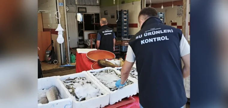 Beyşehir’de balık boy denetimleri