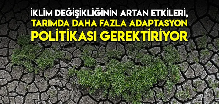 İklim değişikliğinin artan etkileri, tarımda daha fazla adaptasyon politikası gerektiriyor