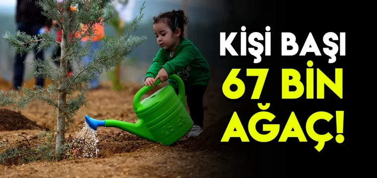 KİŞİ BAŞI 67 BİN AĞAÇ!