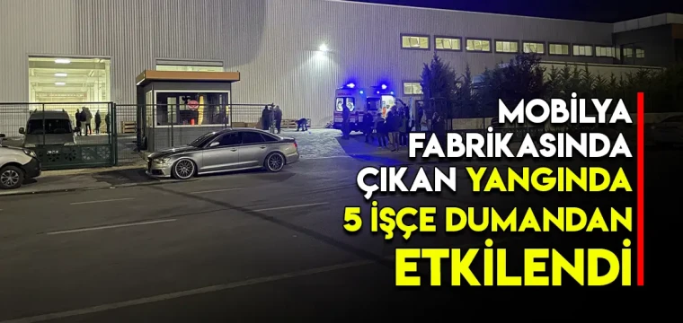 Mobilya fabrikasında çıkan yangında 5 işçe dumandan etkilendi