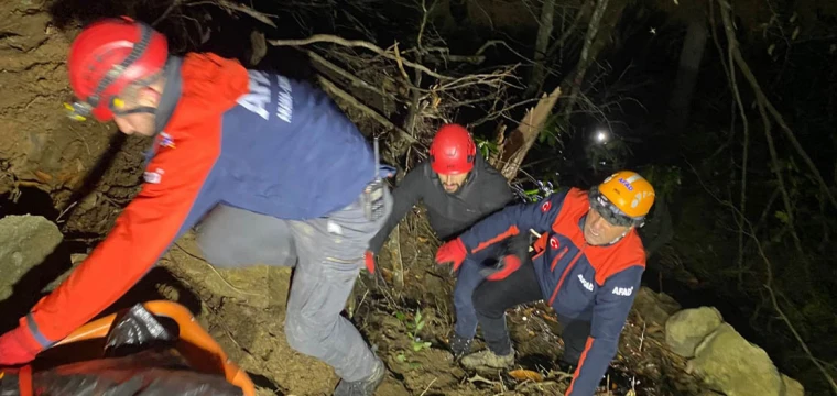 Ağaç kesiyordu, feci şekilde can verdi!