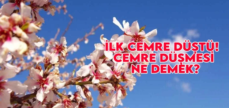 İlk cemre düştü! Cemre düşmesi ne demek?