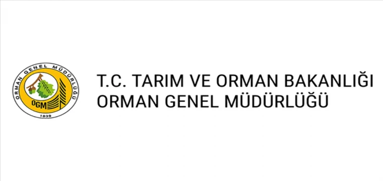 OGM, "Muğla'da yanan ormanlık alana otel inşa edildiği" iddialarını yalanladı