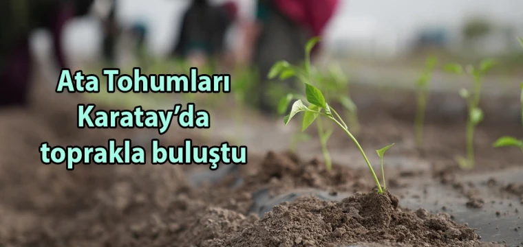 Ata Tohumları Karatay’da toprakla buluştu