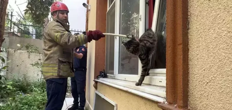 İtfaiyeden kedi kurtarma operasyonu