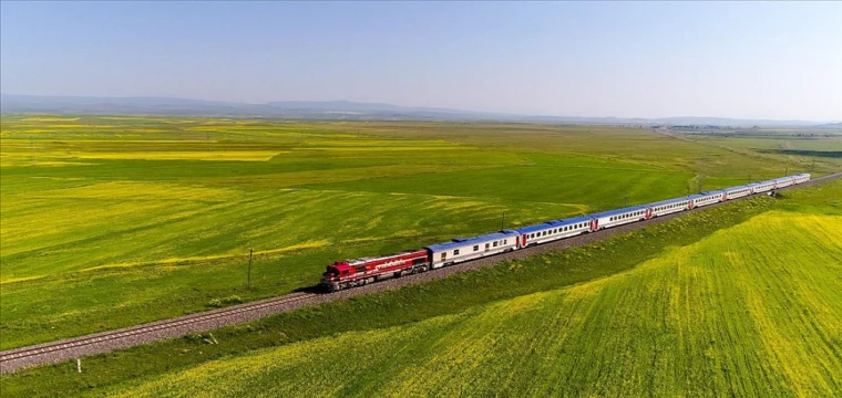 TCDD, otla mücadele kapsamında tren yollarında ilaçlama yapacak