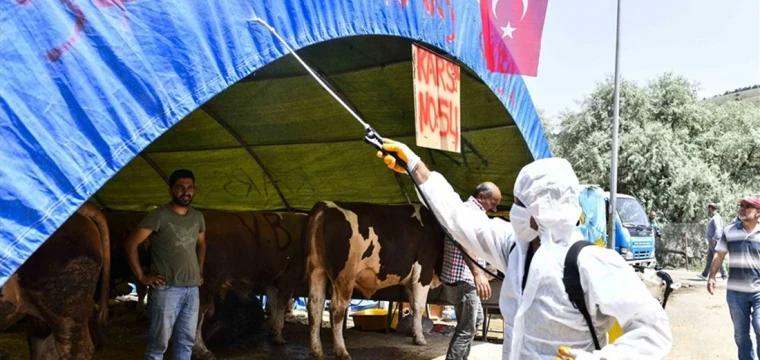 Başkentte Kurban Bayramı hazırlıkları sürüyor