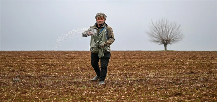 Bu yıl 51 çeşit bitki tescil edildi