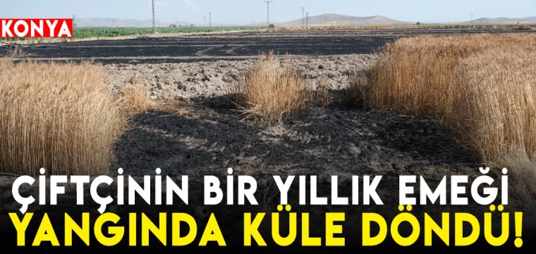 Çiftçinin bir yıllık emeği yangında küle döndü!