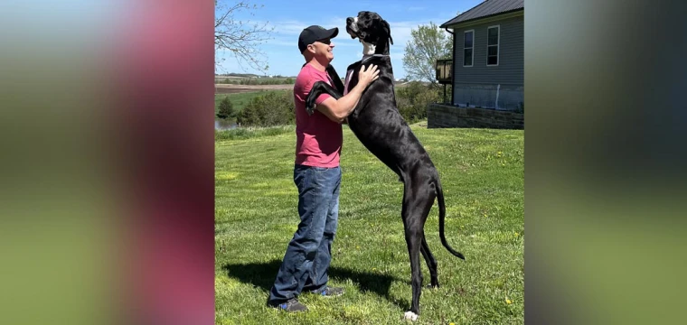 Dünyanın en uzun köpeği hayatını kaybetti