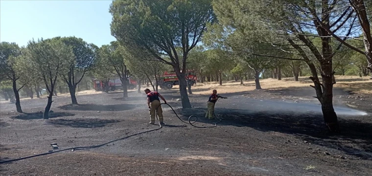 Karaburun ilçesinde orman yangını çıktı