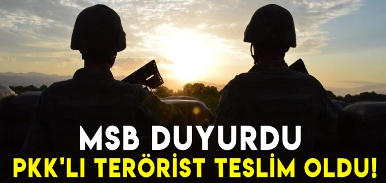 MSB duyurdu: 1 PKK'lı terörist teslim oldu