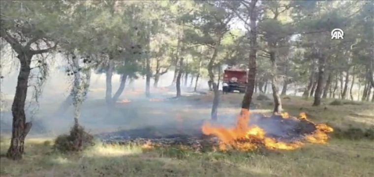 Ormanlık alanda çıkan yangına müdahale ediliyor