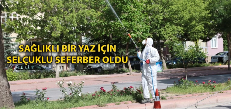 Sağlıklı bir yaz için Selçuklu seferber oldu