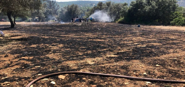 Zeytinlikte çıkan yangın ormanlık alana sıçramadan söndürüldü