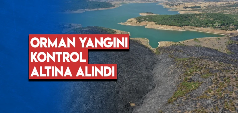 Balıkesir'deki orman yangını kontrol altına alındı