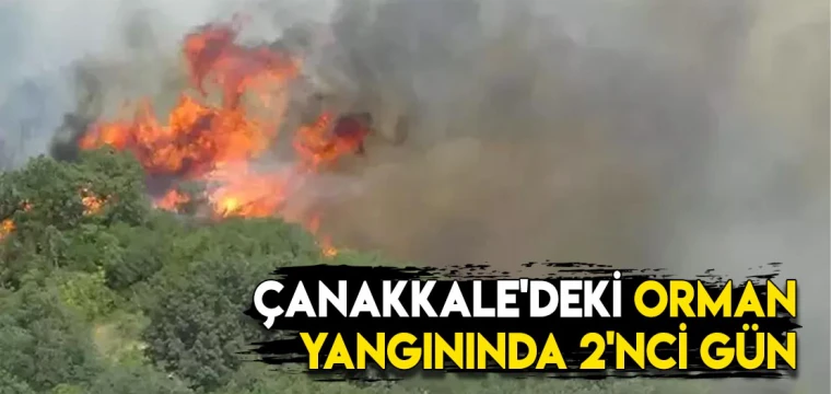 Çanakkale'deki orman yangınında 2'nci gün