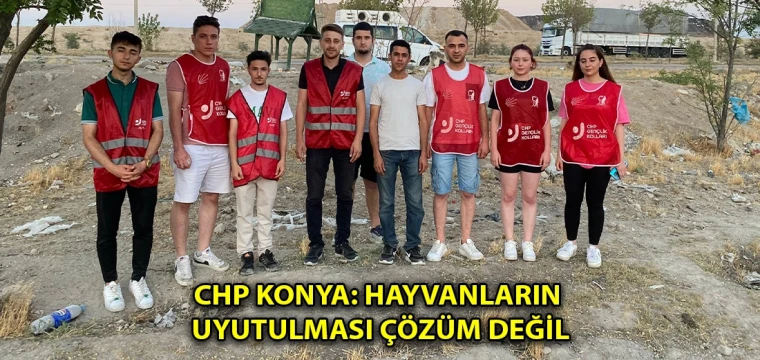 CHP Konya: Hayvanların uyutulması çözüm değil