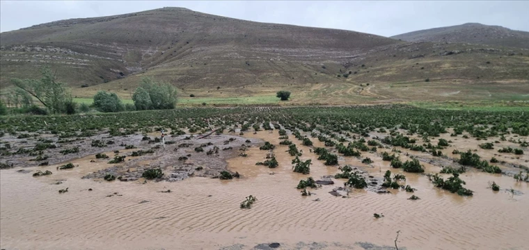 Dolu ve sağanak ekili alanlara zarar verdi