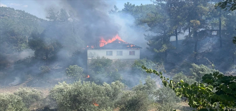 Evde başlayan yangın Ormana Sıçradı