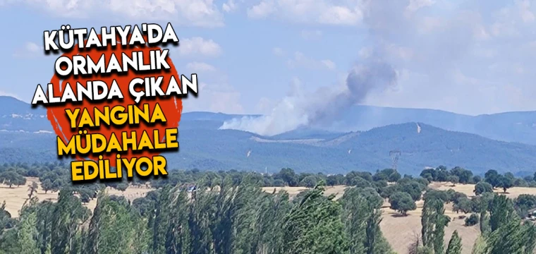 Kütahya'da ormanlık alanda çıkan yangına müdahale ediliyor