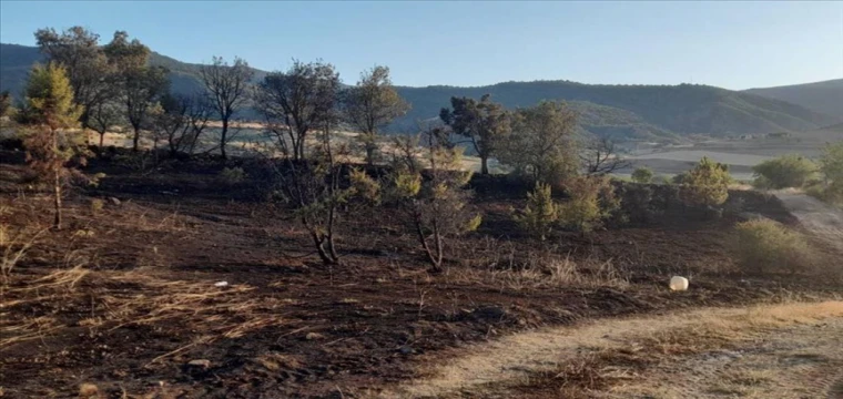 Mangaldan kaynaklanan yangın nedeniyle 6 dekar alan zarar gördü