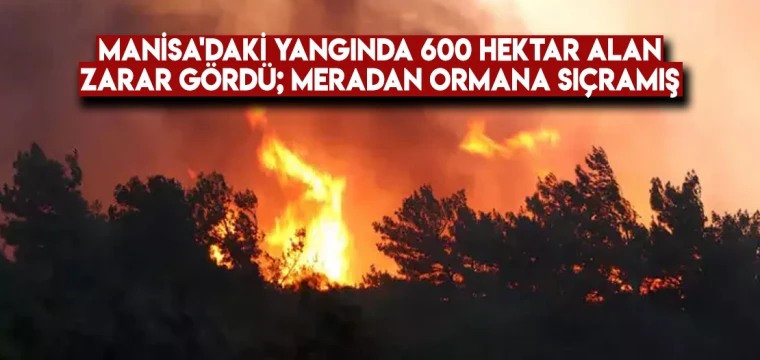 Manisa'daki yangında 600 hektar alan zarar gördü; meradan ormana sıçramış