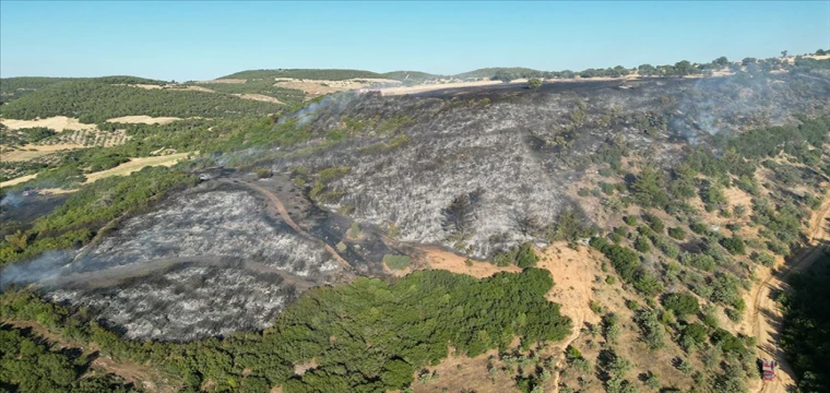 Kula ilçesindeki orman yangını söndürüldü