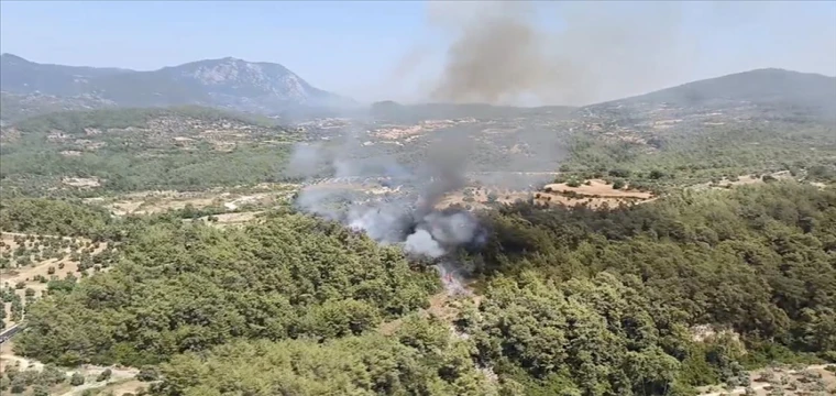 Milas ilçesinde orman yangını çıktı