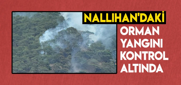 Nallıhan'daki Orman Yangını Kontrol Altında