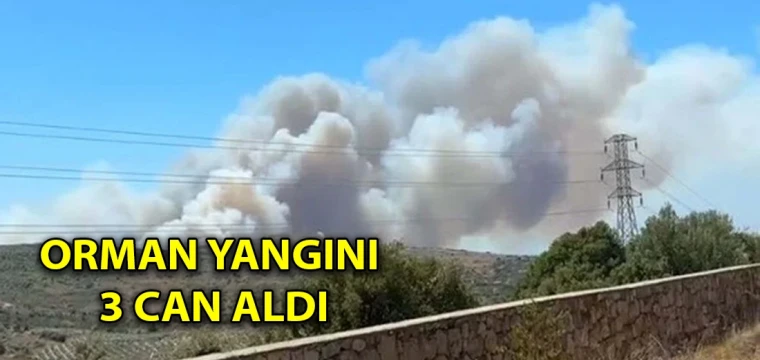 Orman yangını 3 can aldı