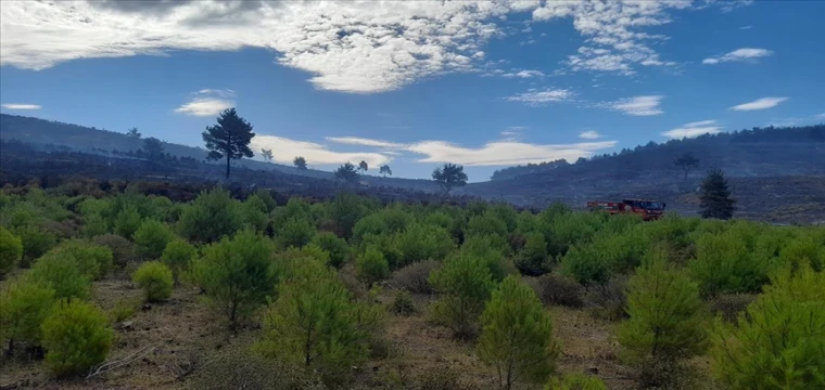 Orman yangını kontol altına alındı